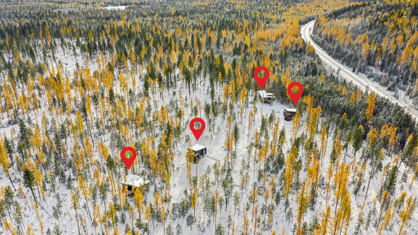 Aerial view of all four Off Grid Stays treehouses on ten acres